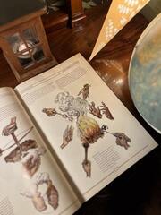 The Book. Как создать цивилизацию заново