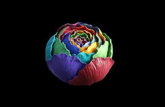 Силиконовый молд 3D-Пион в бутоне