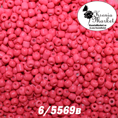 Бисер 6/5569в