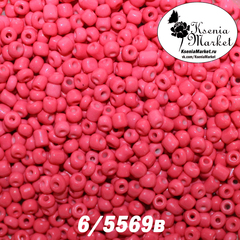 Бисер 6/5569в