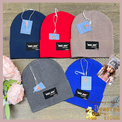 Шапка хлопок (4-8) 240223-ШВ11085