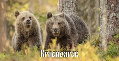 Урал Сувенир - Красноярск кружка керамика 300 мл №0034