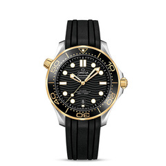 Omega 21022422001001