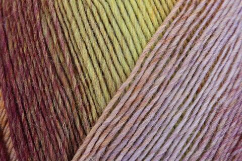 Regia Virtuoso Color 3074