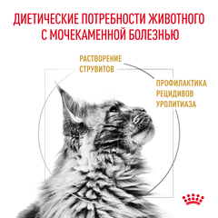 Royal Canin Urinary s/o сухой корм для кошек при заболеваниях мочевыделительной системы 350г