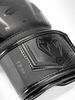 Перчатки Venum Elite Evo Black/Black