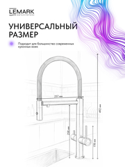 Смеситель Lemark Зенит Zenith LMF-1676S-BRRGN для кухни с гибким изливом, с подключением к фильтру питьевой воды