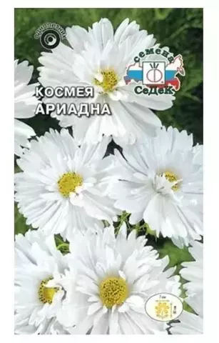 Семена Космея Ариадна махровые