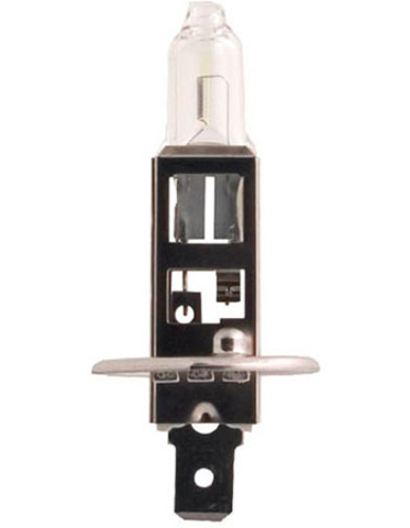 Галогенные лампы Philips H1 NightGuide DoubleLife (три спектра) (2шт.) Галогенные лампы Philips H1 NightGuide DoubleLife (три спектра) (2шт.)
