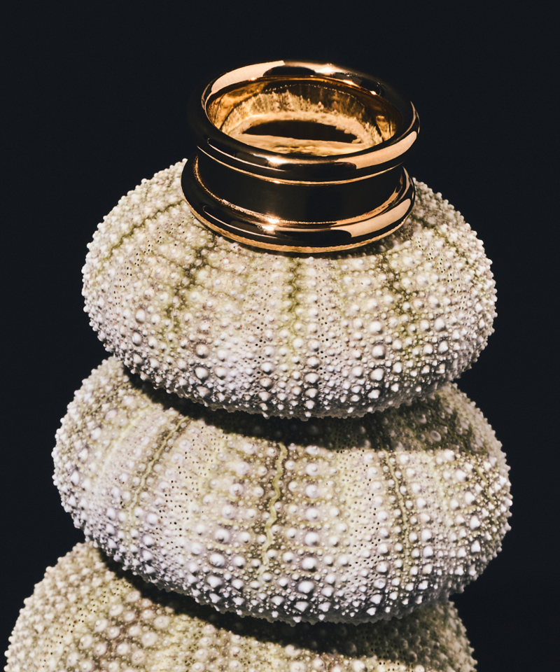 Кольцо Gia gold