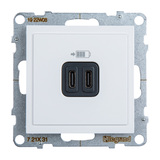 Розетка зарядное устройство USB 2 разъёма тип - С/тип - С, винтовые клеммы - Legrand SUNO - Белый — фото 1