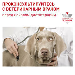 Royal Canin Neutered Adult Small Dog сухой корм для кастрированных собак мелких пород 800г