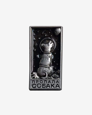 Пин Масть Пропала собака