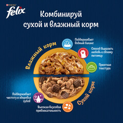 Felix Sensations Sauce Surprise пауч для взрослых кошек индейка,бекон 75 г