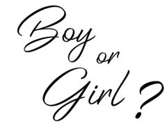 Наклейка на шар, Boy or Girl, Черный, 18*22,5 см, 1 шт.