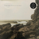 POLYGON WINDOW: Surfing On Sine Waves( Polygon Window ) (Виниловая пластинка)