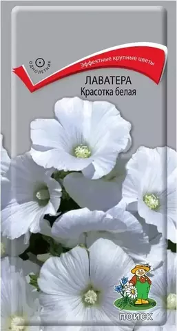 Семена Лаватера Красотка белая