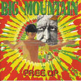 BIG MOUNTAIN:  Free Up