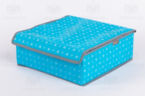 Набор из 3 органайзеров для нижнего белья с крышками 30*30*11 см