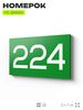Номер на дверь 224, табличка на дверь для офиса, квартиры, кабинета, аудитории, склада, зеленая 120х70 мм, Айдентика Технолоджи