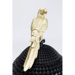Шкатулка Parrot «Попугай»