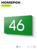 Табличка с номером 46 на дверь квартиры, для офиса, кабинета, аудитории, склада, зеленая 120х70 мм, Айдентика Технолоджи