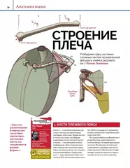 Анатомия. Создание реалистичных людей и животных