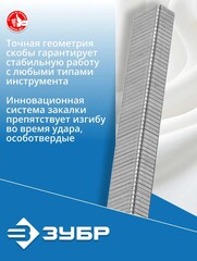 ЗУБР скобы тип 140 (G/11/57), 8 мм, калибр 20GA. 1000 шт. Профессионал (31630-08)