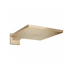 Hansgrohe Raindance 26238140 Душ верхний 30х30 см с кронштейном фото