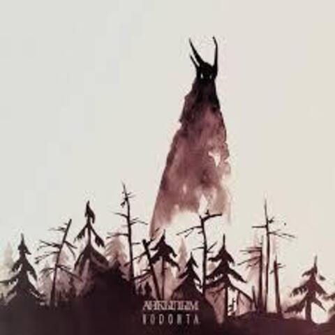 Виниловая пластинка. Анкылым – Vodonta