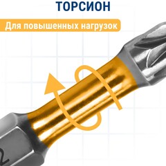 Бита отверточная ПРАКТИКА Профи ударная торсионная PZ-2 х 50мм (2шт) (796-726)