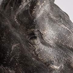 Бюст HORSE 33796