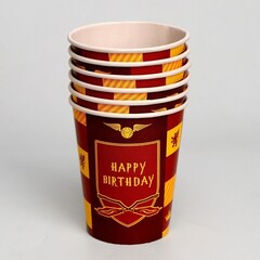 Набор посуды HARRY Birthday Гарри Поттер
