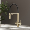 Sancos Imola SC4010BGBH Смеситель для кухни с гибким изливом и краном для фильтра, цвет: брашированное золото,черный