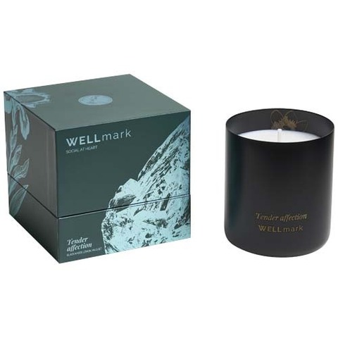 Ароматическая свеча Wellmark