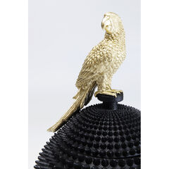 Шкатулка Parrot «Попугай»