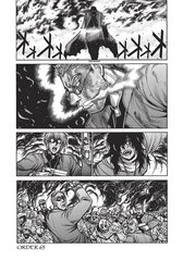 Hellsing Deluxe vol. 3 (На английском языке)