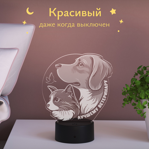 Ночник Лучшему ветеринару