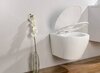 BelBagno BB216QSC Сиденье дюропластовое с быстросъёмными петлями, механизмом Soft Close, цвет: белый