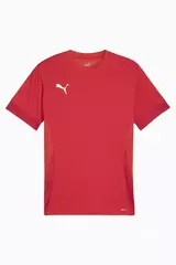 Футболка Puma teamGOAL Matchday