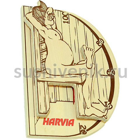 Harvia Saunaмan для бани - 3