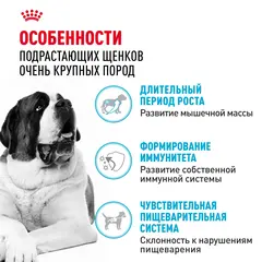 Royal Canin Giant Junior Сухой корм для щенков гигантских пород с 8 до 24 месяцев 17 кг