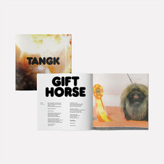 Виниловая пластинка. Idles – Tangk (Deluxe)