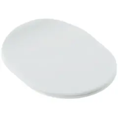 ArtCeram Chic CHA001 05 73 Сиденье для унитаза с микролифтом, цвет: белый матовый фото