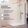 RGW 351021010-24 Душевая перегородка 100*195 RGW WA-210-B Чёрный/Матовое/8 мм