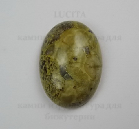 Кабошон Яшма "Шкура леопарда"  25х18 мм №11 ()