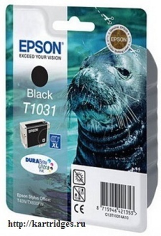 Картридж Epson T10314A10