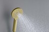 Aquatek Оберон AQ2006BG Ручной душ, цвет: золото