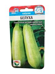 Кабачок Белуха (СибСад)
