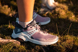 Премиальные непромокаемые кроссовки внедорожники Salomon X Raise GTX W Quail/India Ink женские